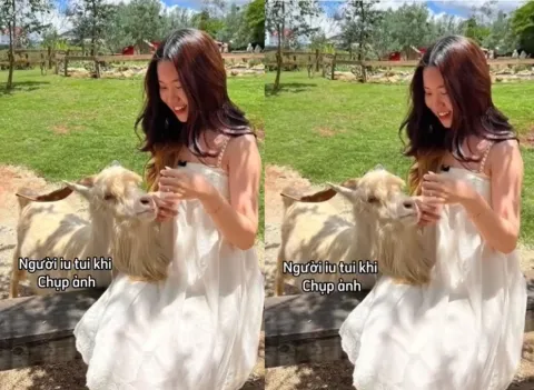 Sex tiểu thư nhà giàu yêu anh chim bự